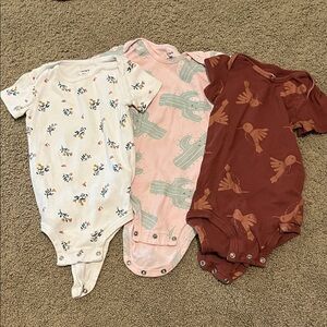 3-Pack Baby One-Piece Bodysuits - White Floral, Pink Cactus, Rust Bird